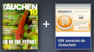 Tauchen
