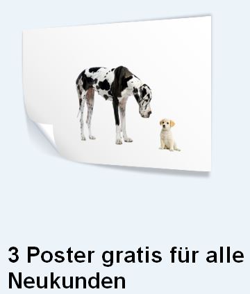 dfgdfgdfggvv