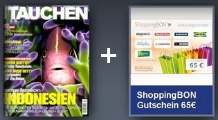 tauchen